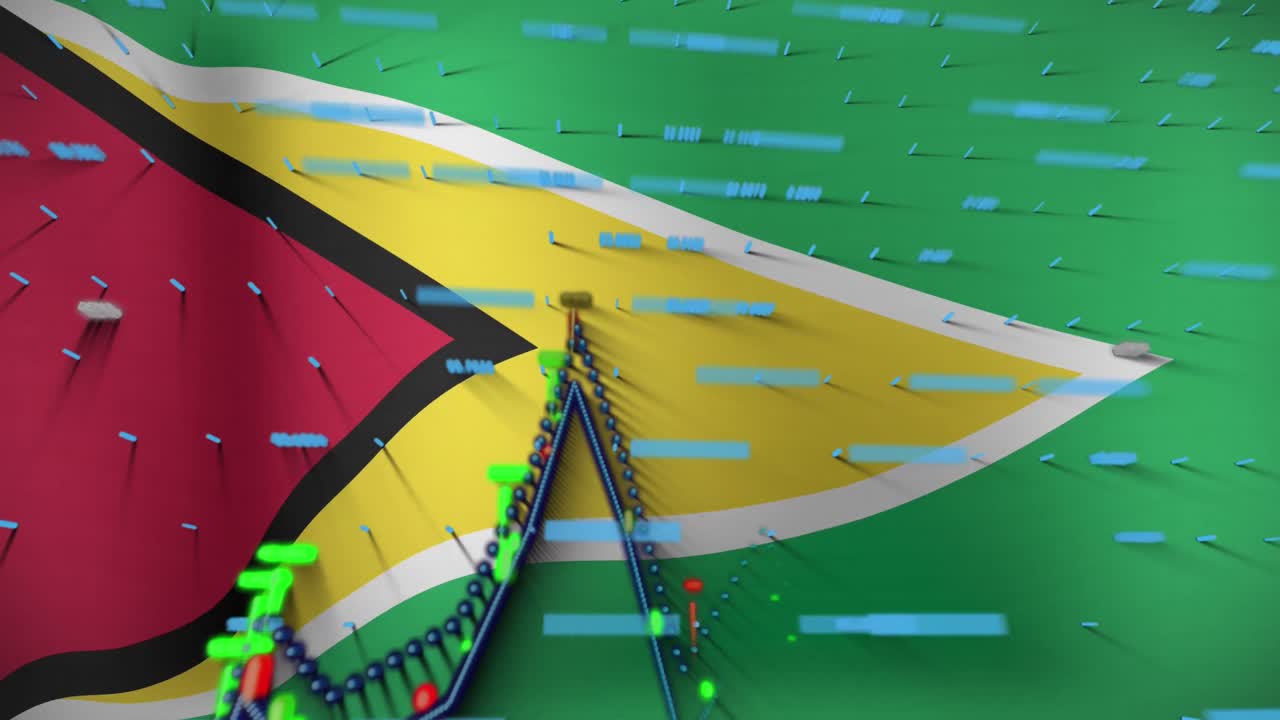 가이아나의  ⁇ 발 위에서 데이터 처리의 애니메이션