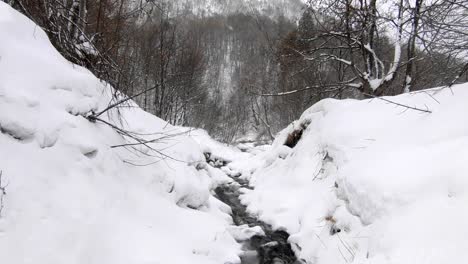 winter scene: a small stream of water flows trhough a snow covererd forest in a mountainous ares
