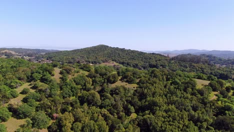 nature's canvas: stunning aerial landscapes through forested mountains