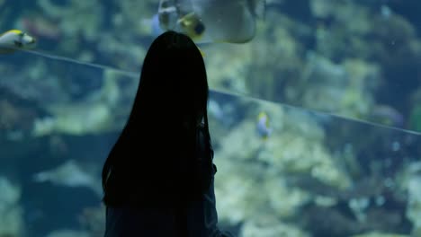 woman visiting the aquarium