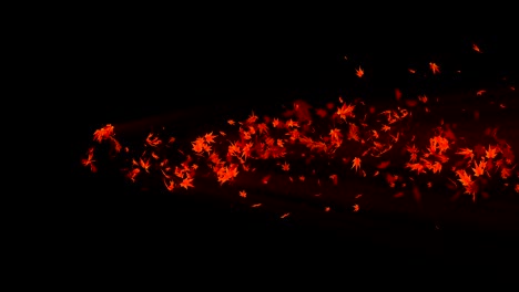 vórtice de colorido arce y hojas. espiral partícula brillante de hojas de otoño. hoja de baile. colorida naturaleza túnel bucle de animación.