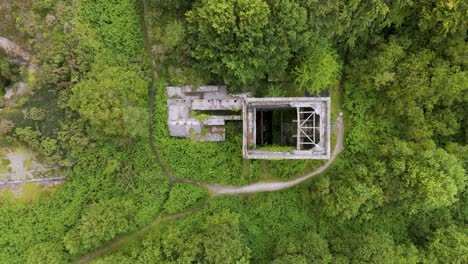 aerial view of an abandoned building overgrown by lush forest