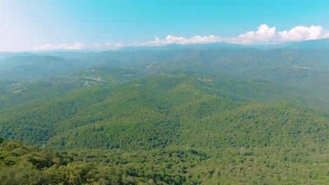 mountaintop ferris wheel and scenic forest view