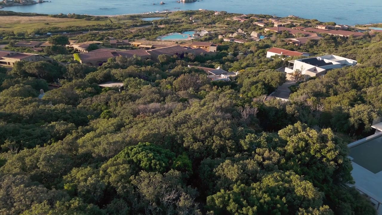 Vista aerea di lussureggiante vegetazione costiera e ville vicino al litorale in Sardegna.