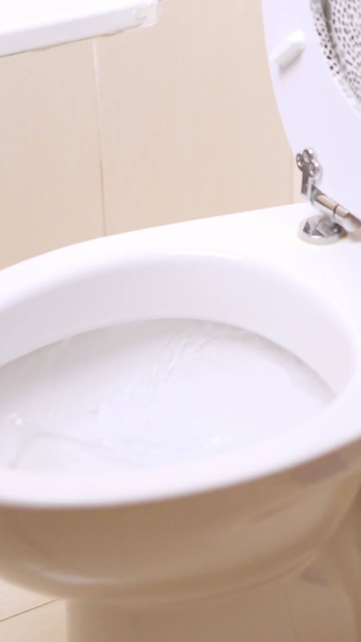 Person cleaning toilet with brush in bathroom