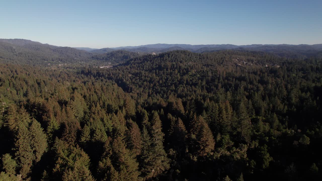 Generic looking forests on rolling hills, nature shot, 4K