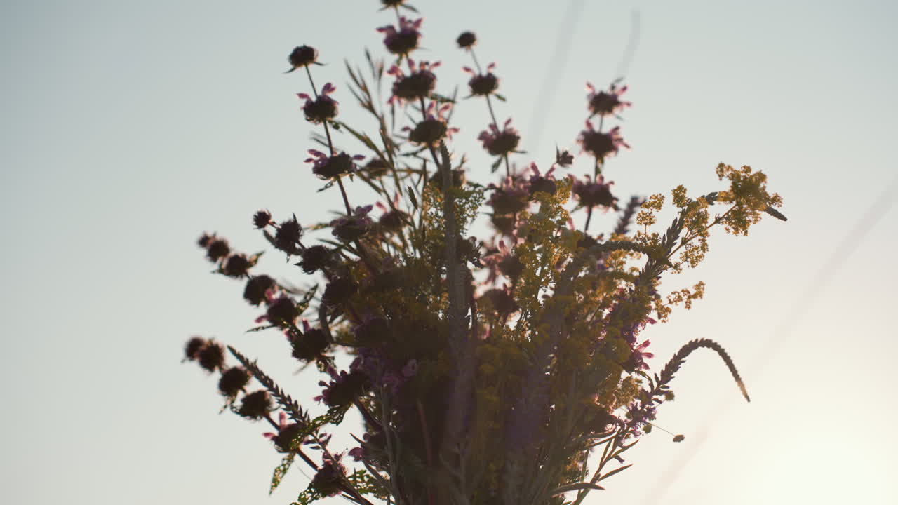 close up of wildflower bouquet rotating gently against clear sky, featuring mix of yellow, purple, and pink flowers illuminated by warm backlight