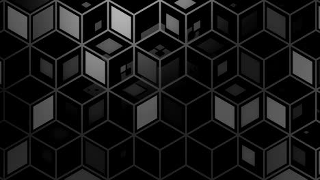 el fondo del rombo
