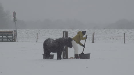 Mujer-Hackeando-Un-Recipiente-Congelado-Para-Beber-En-Un-Clima-Invernal-Severo