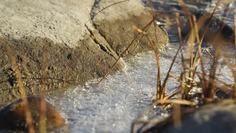 thawing ice between arctic rocks