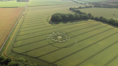 crop circle in green field, owslebury, england - aerial drone shot