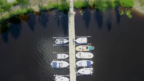 Un-Tranquilo-Día-De-Verano-En-El-Puerto-Con-Pájaros-Volando