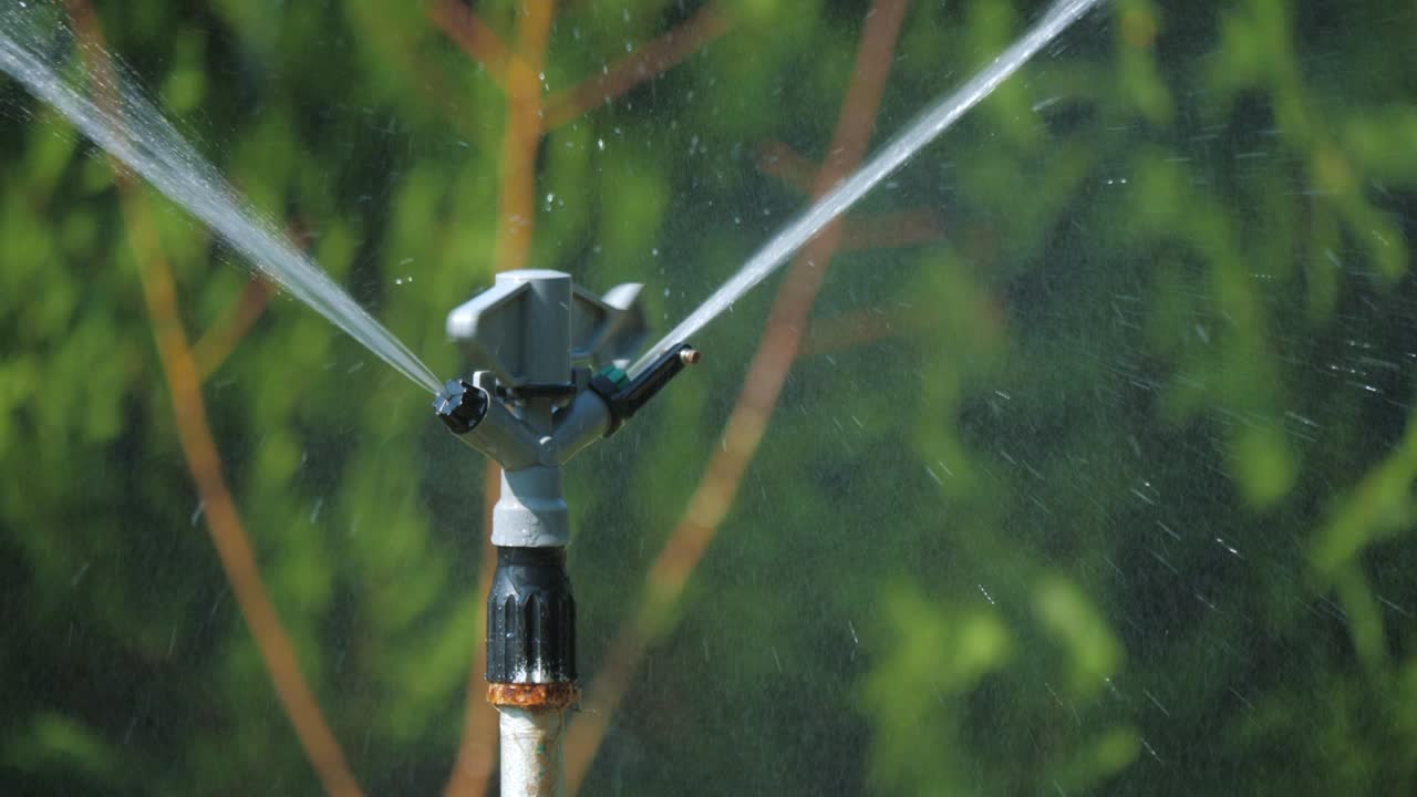 스프링클러는 원으로 회전하여 물을 스프레이합니다.