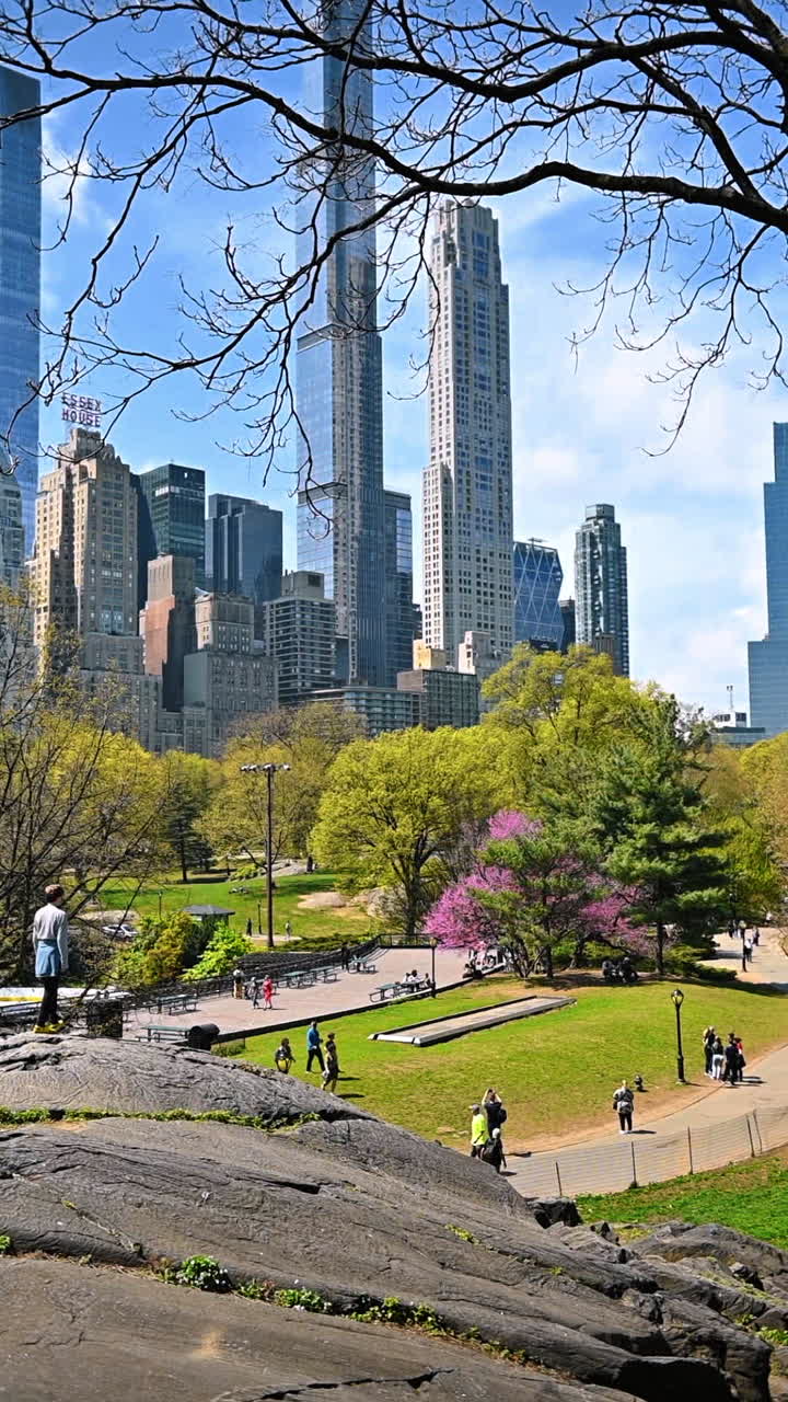 Panoramic view of Central Park and Manhattan skyline