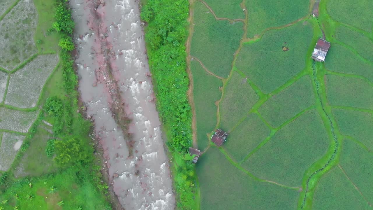 vista aérea del campo de arroz con el río y las cabañas