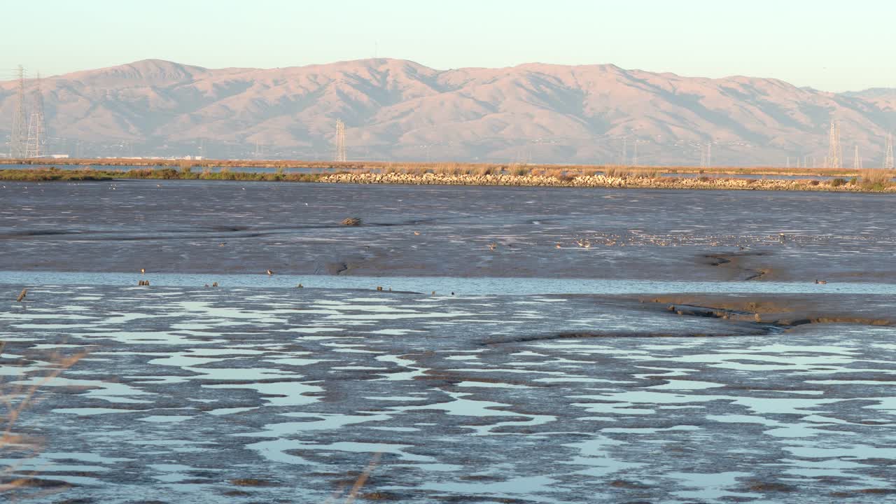 샌프란시스코 베이 지역의 베이 랜드 자연 보호 구역에서 야생 동물 사진 촬영