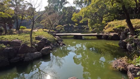 estanque pacífico con reflejos en un jardín sereno