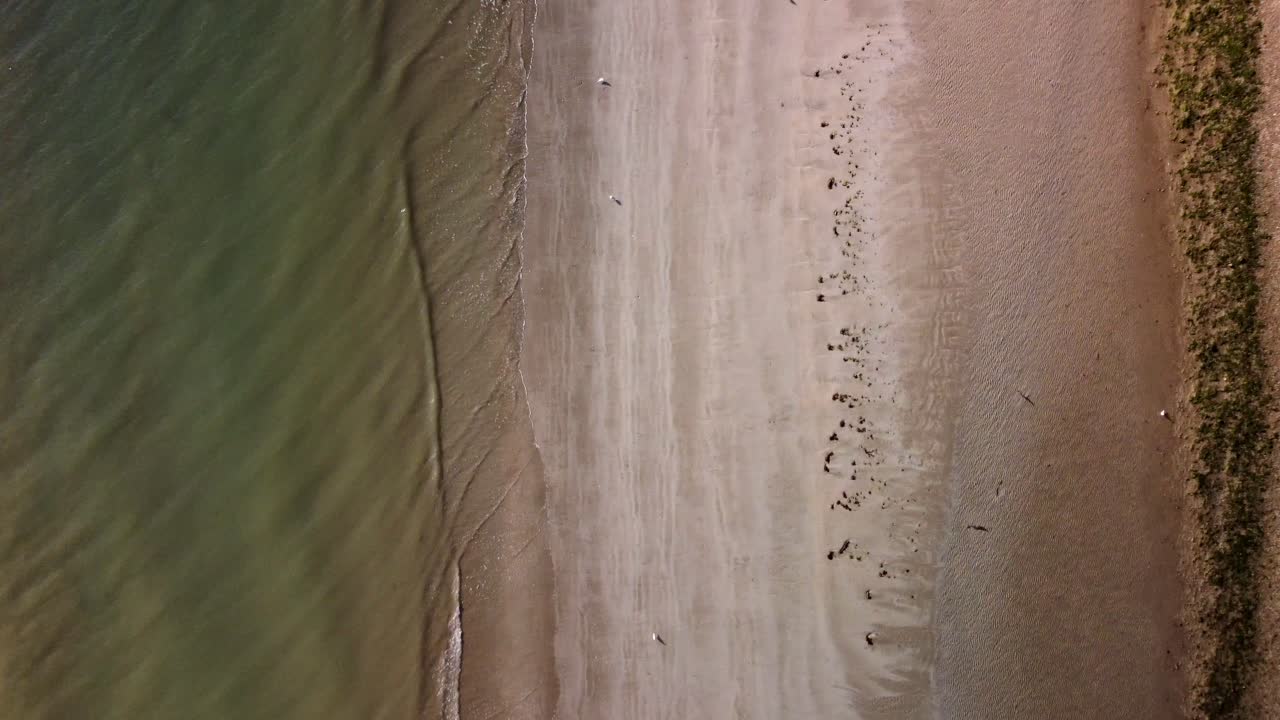 Riprese aeree con drone a picco e in movimento lungo la costa di Utah Beach, Normandia, Francia.