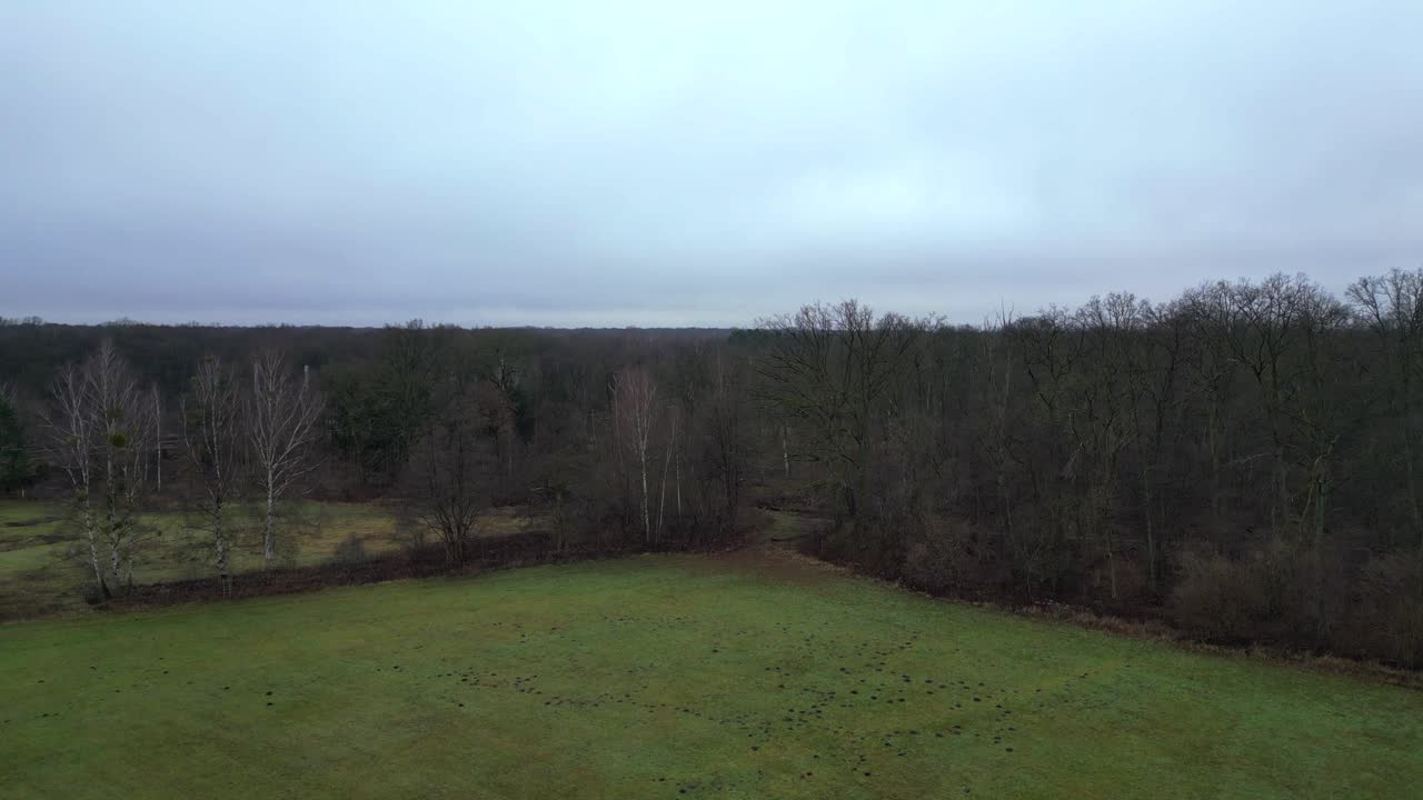 vista aérea de un ferrocarril que cruza un gran bosque bajo un cielo nublado, creando un paisaje temperamental y atmosférico. vista aérea dramática de un avión no tripulado que asciende en vuelo