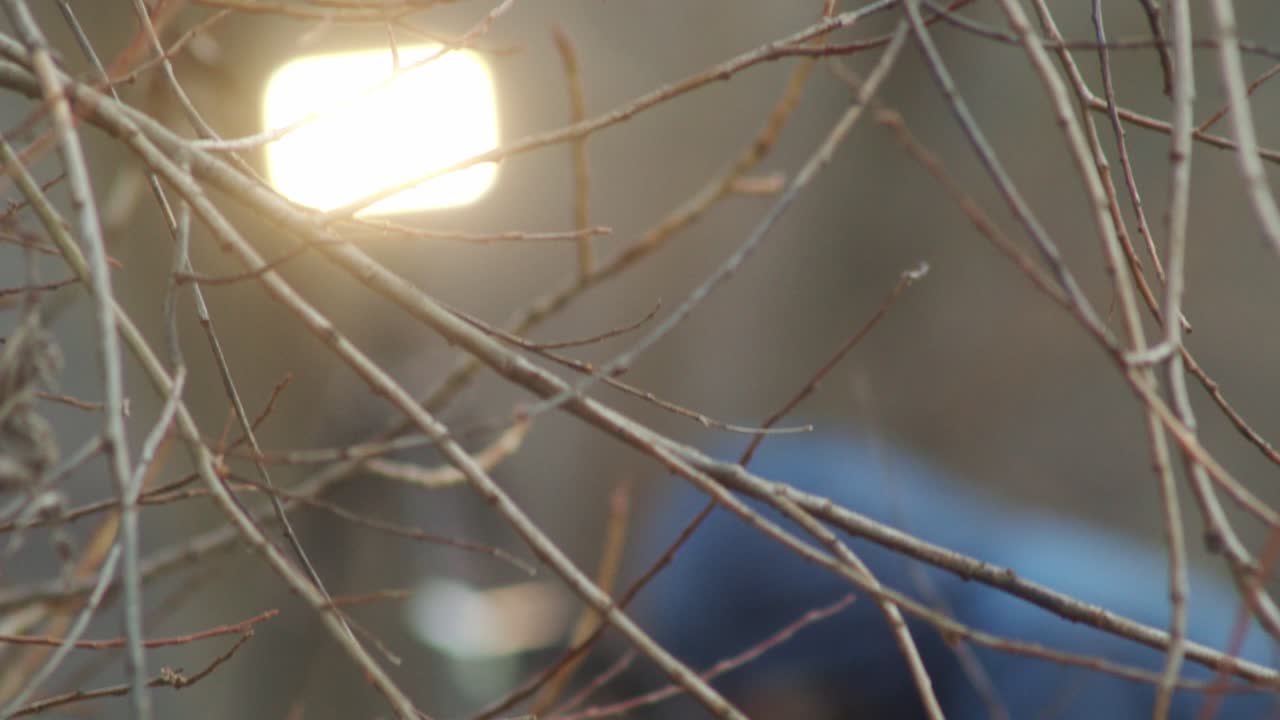 범죄 현장 조사, 살해된 사람 촬영, 흐린 배경