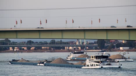 Colonia-Con-Zoo-Brücke-Con-Carguero-En-El-Río-Rin