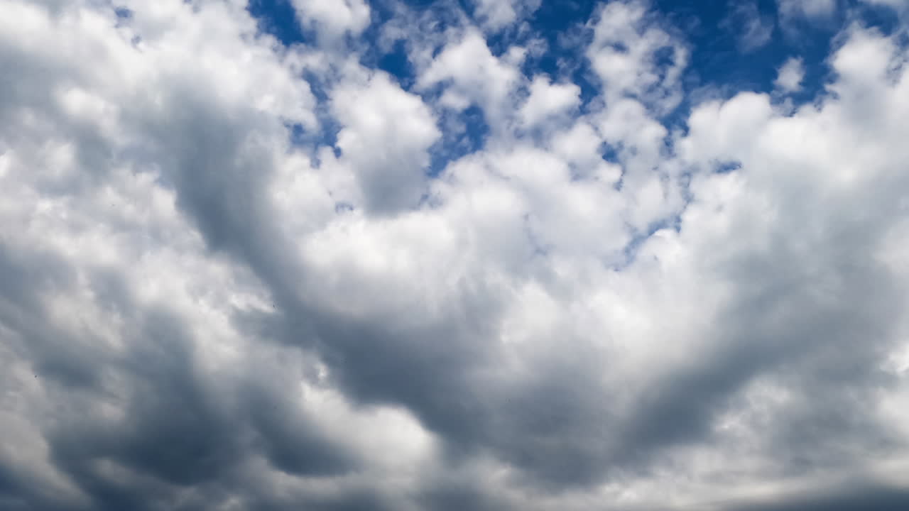 White clouds transform into grey ones. Light cloudscape gather in heavy rainy mass. Low angle view. Timelapse.