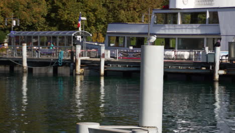 seagull sitting on dock pole at small harbor