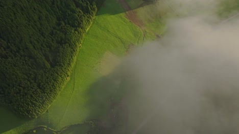 Top-down-view-of-green-meadows-with-cattle-at-São-Miguel-azores,-aerial