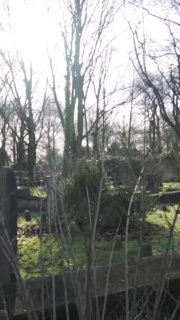 cemetery in winter