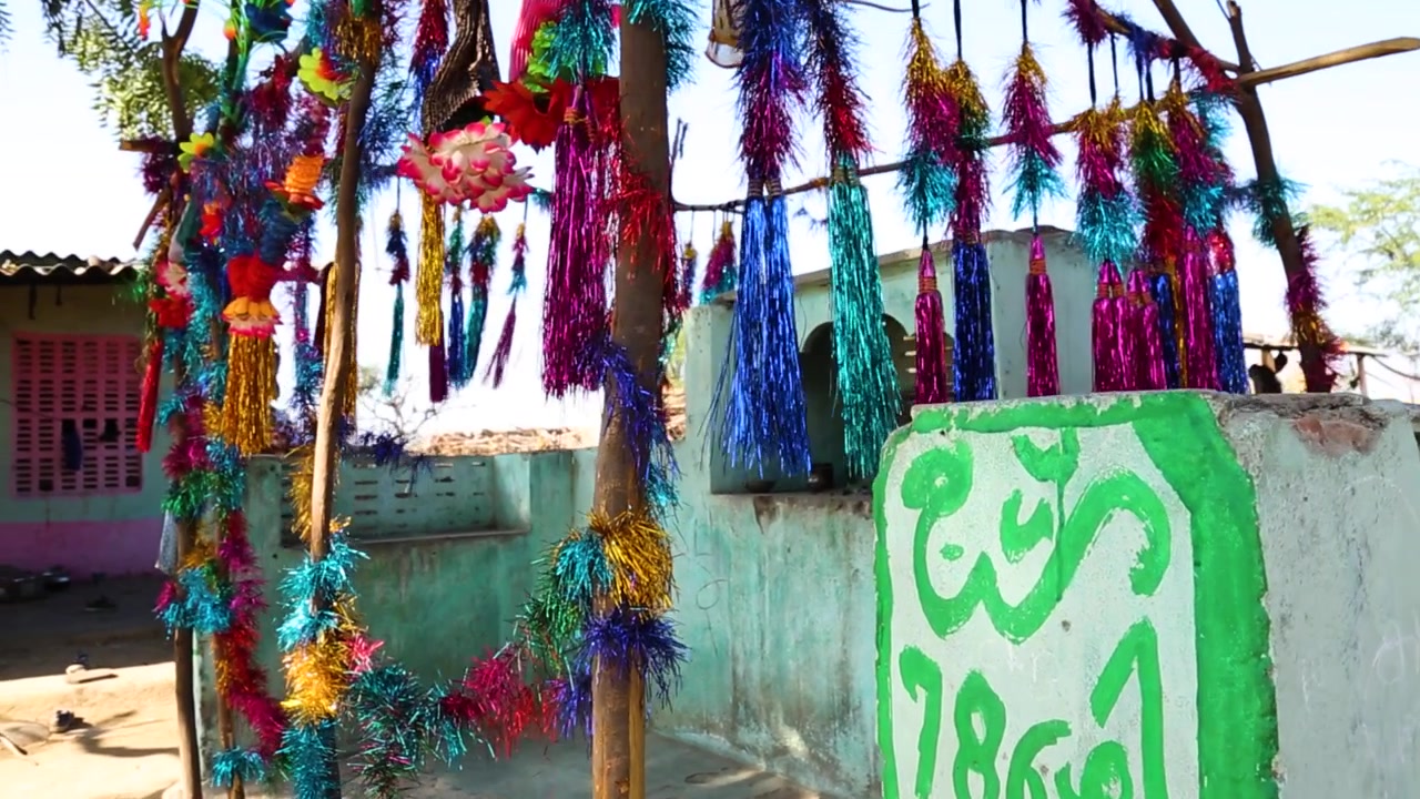 Decorazione tipica indiana in un tempio musulmano, villaggio di Noondpura in Rajasthan. Con piedistallo in evidenza.