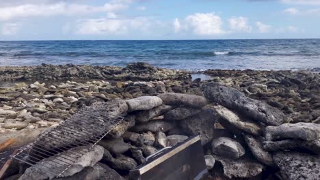 beach cooking fresh fishes caught sustainable fishing, fire bbq leisure activity