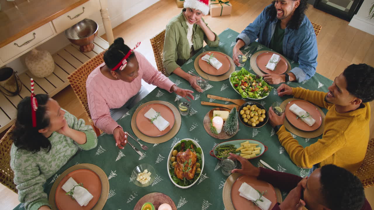 diverse friends celebrating Christmas dinner at home, toasting with drinks and smiling