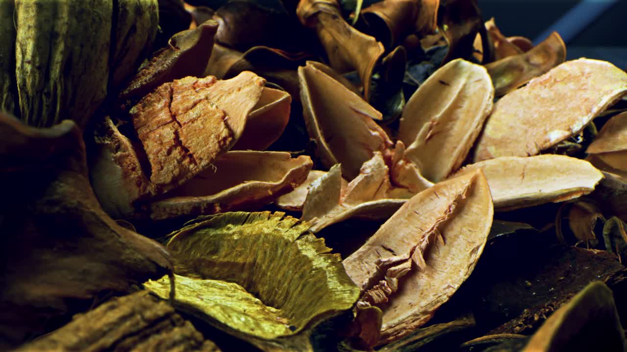 arreglo de flores secas de cerca