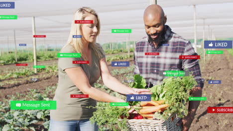 harvesting vegetables in greenhouse, farmers with social media notifications animation