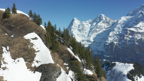 Luftaufnahmen-Von-Grünen-Kiefern-Am-Berghang-Hoch-In-Den-Bergen