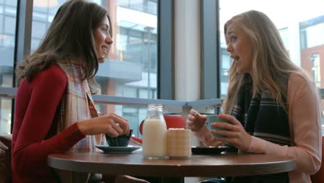 pretty friends enjoying coffee in cafe