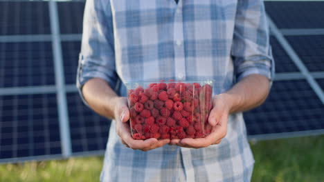 Ein-Bauer-Hält-Einen-Plastikbehälter-Mit-Frischen-Himbeeren.-Im-Hintergrund-Sind-Die-Paneele-Des-Solarkraftwerks-Zu-Sehen