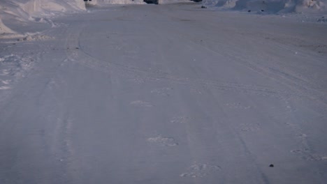 animal tracks in the snow