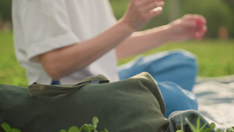 mom hand placing sandwich wrapped in paper into canvas bag on picnic blanket, warm light on arm and grass, relaxed outdoor family moment with soft background blur in summer park setting
