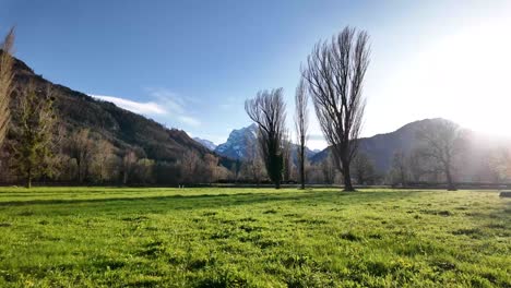 Sunny-day-in-at-the-coast-of-the-lake-Walensee-surrounded-by-the-majestic-Swiss-alps