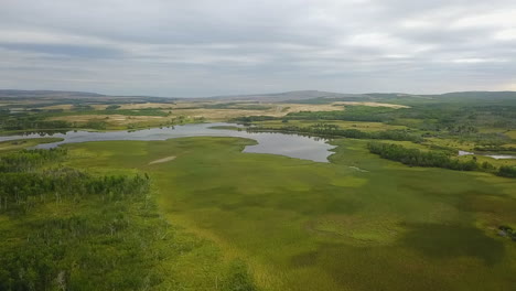 Aerial-descends-to-vibrant-green-wetland-marsh-in-Canadian-foothills