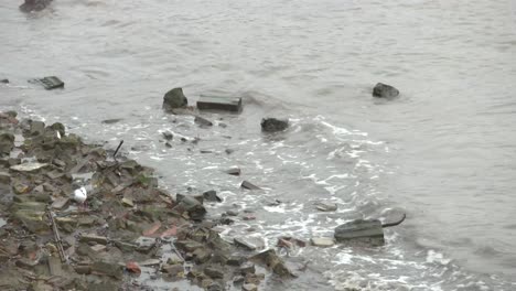 Möwe-Zu-Fuß-Entlang-Der-Felsen-Der-Schlammigen-Themse-Von-Canary-Wharf