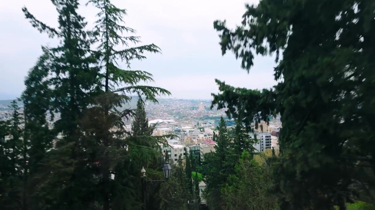 Vista panoramica della città di Tbilisi che si estende in lontananza, parzialmente oscurata da alberi verdi. Cieli velati sopra aggiungono una luce soffusa al paesaggio urbano. Ampia distesa di edifici e case visibili