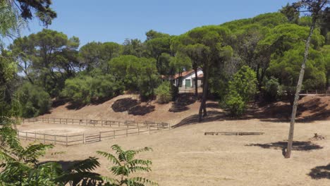 an empty pasture in a monsanto park in lisbon