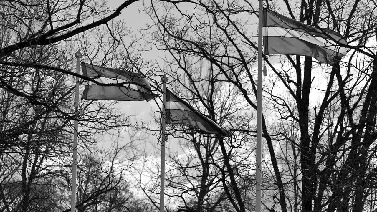 Latvian flag flutters in the wind