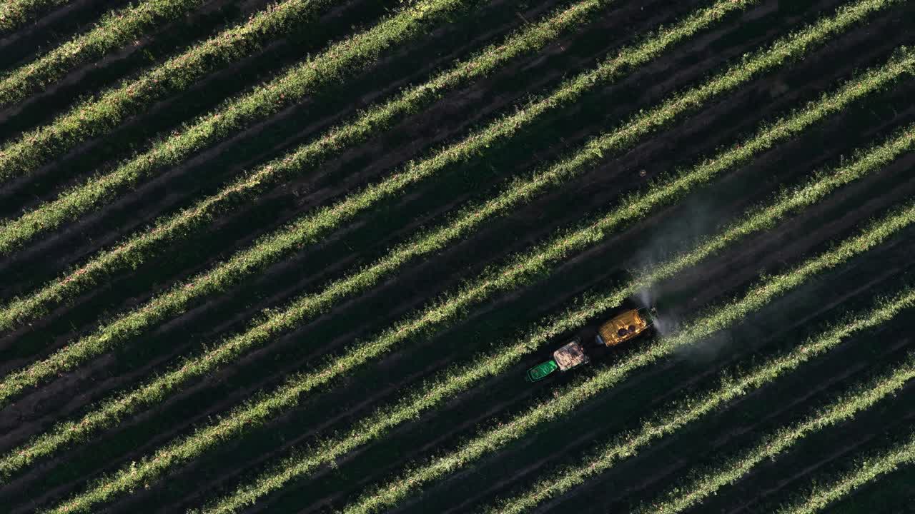 Tractor pulverizing pesticide on crop diagonal lines