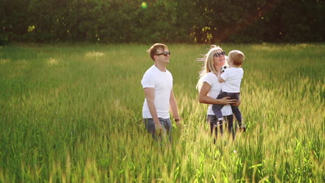 family walking in field carrying young baby son