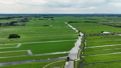 high aerial panning shot of a polder land with many canals and waterways cutting through farm field in the rural krimpenerwaard region of the netherlands