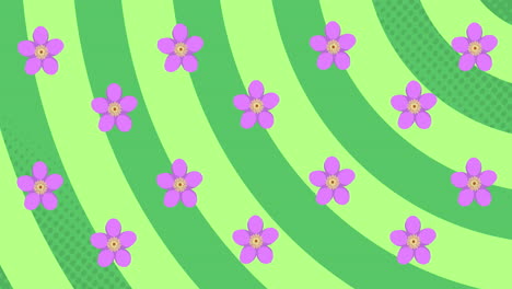 animación de flores púrpuras girando sobre un fondo de rayas verdes