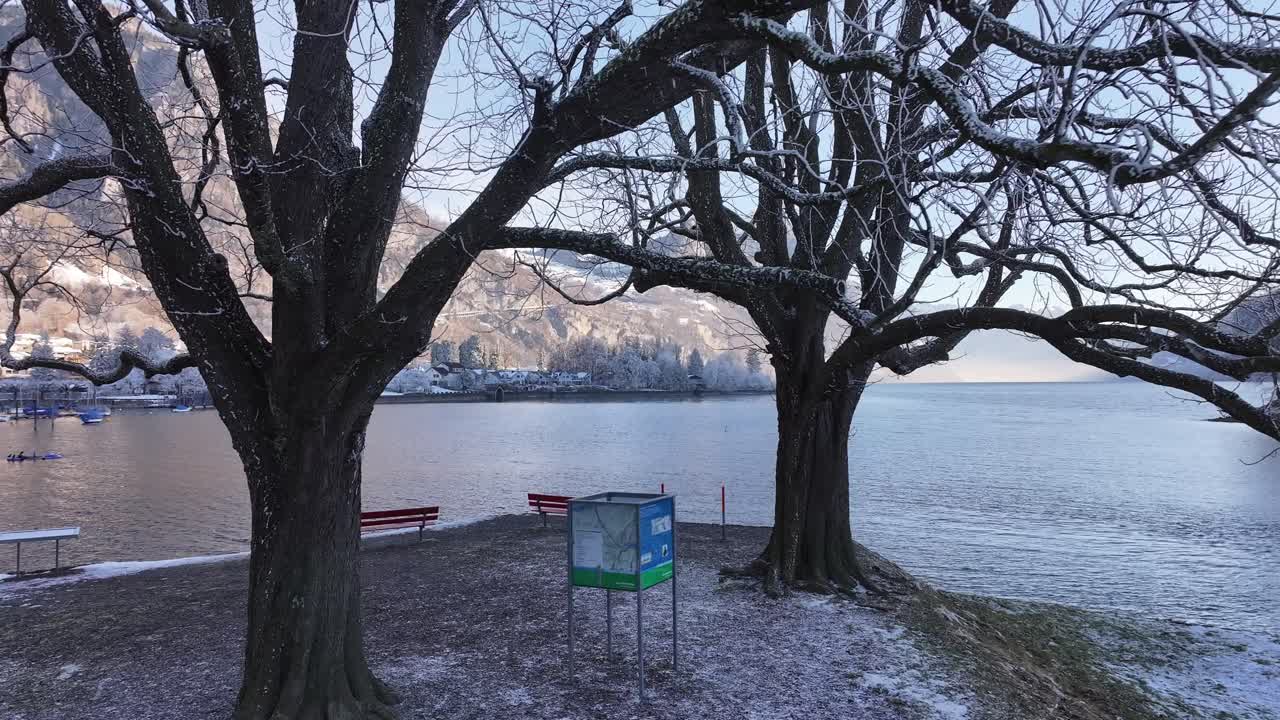 A serene winter scene at Lake Walensee, Switzerland, where a bare tree frames the calm water and snow-covered shore, with red benches inviting quiet reflection on the picturesque landscape.